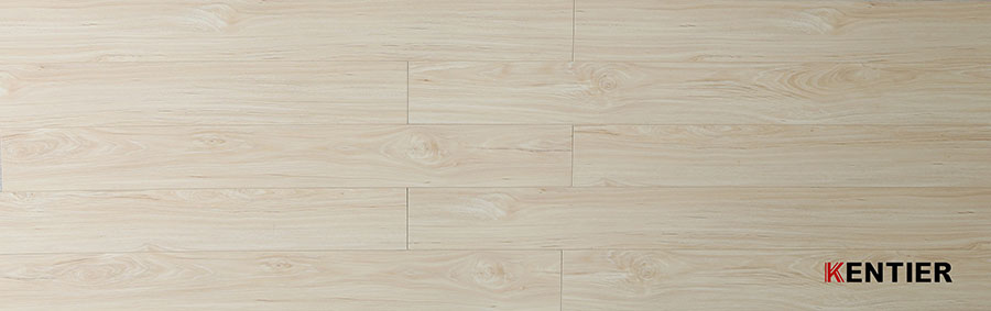 Laminate Flooring 8005-4
